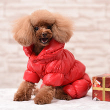 Load image into Gallery viewer, Dog Clothes Winter French Bulldog Dog Clothes For Small Dogs Cotton Padded Warm Outfit Pugs Clothing For Chihuahua Clothes