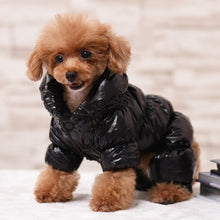 Load image into Gallery viewer, Dog Clothes Winter French Bulldog Dog Clothes For Small Dogs Cotton Padded Warm Outfit Pugs Clothing For Chihuahua Clothes