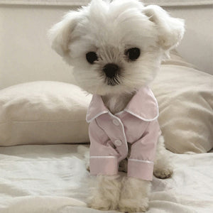 Luxury Clothing Pet Dogs, Luxury Clothes Dog Bulldog