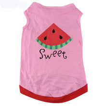 Load image into Gallery viewer, Cheap Pet Dog Clothes For Dogs Pets Clothing Small Medium Dog Shirts Winter Pet Hoodies For Dogs Costume Chihuahua Cat Clothing